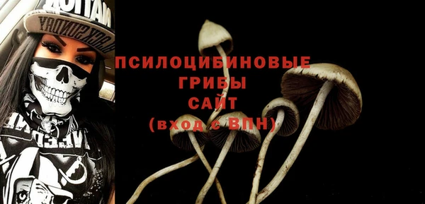 ГАЛЛЮЦИНОГЕННЫЕ ГРИБЫ Михайлов