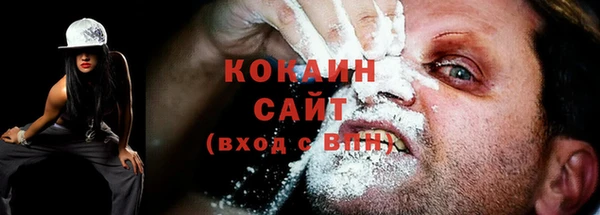 прущие грибы Михайловка