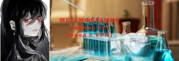 ГАЛЛЮЦИНОГЕННЫЕ ГРИБЫ Михайлов