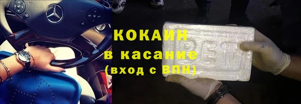 ГАЛЛЮЦИНОГЕННЫЕ ГРИБЫ Михайлов