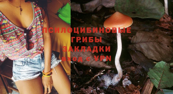 ГАЛЛЮЦИНОГЕННЫЕ ГРИБЫ Михайлов