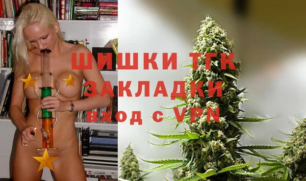ГАЛЛЮЦИНОГЕННЫЕ ГРИБЫ Михайлов
