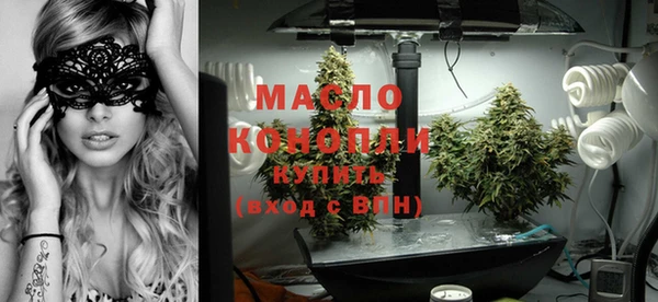 ГАЛЛЮЦИНОГЕННЫЕ ГРИБЫ Михайлов