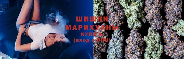 прущие грибы Михайловка