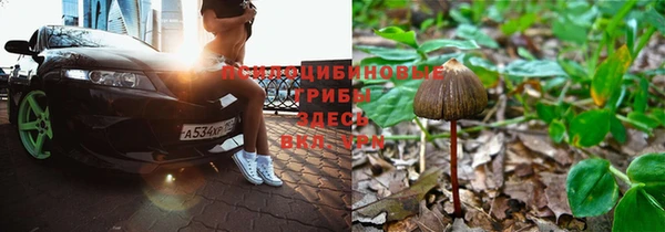 трава Михайловск