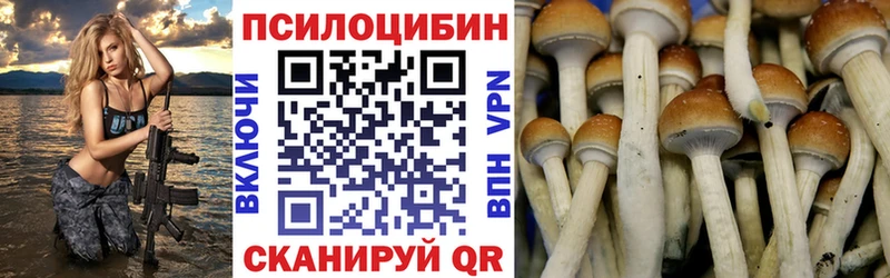 цена наркотик  Няндома  Псилоцибиновые грибы мицелий 